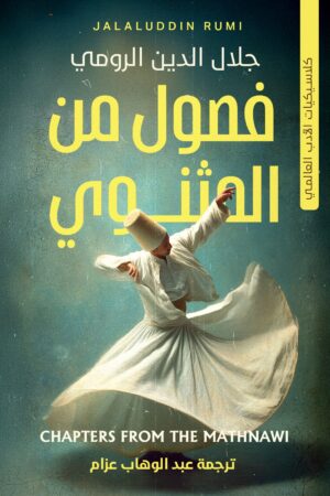 فصول من المثنوي